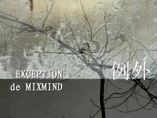 例外品牌调查报告