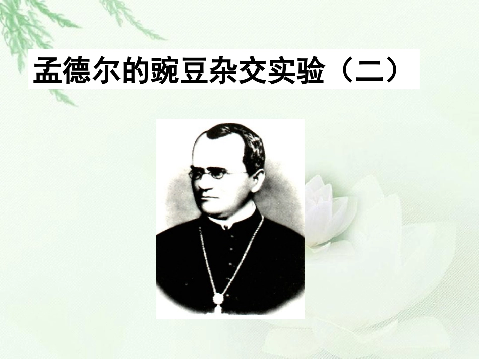 两对相对性状的杂交实验_第1页