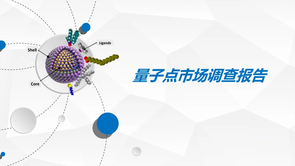 量子点市场调查报告_第1页