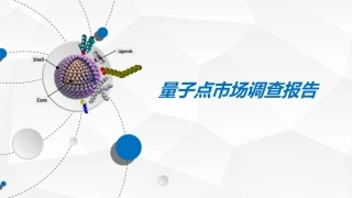 量子点市场调查报告