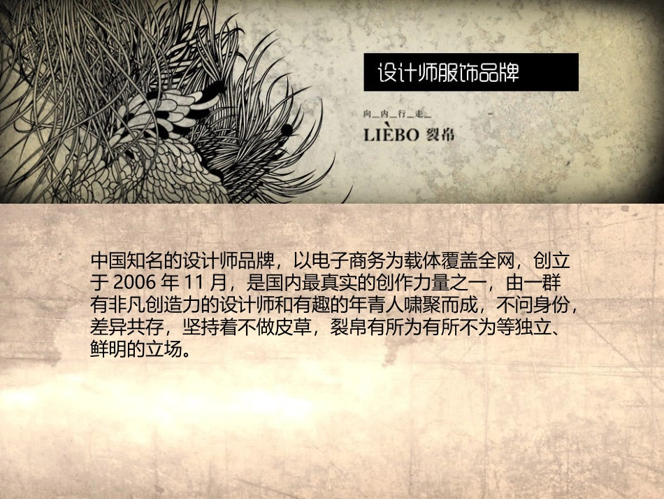 裂帛品牌调研报告_第2页