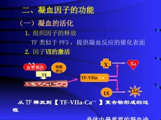 临床血液学检验凝血因子