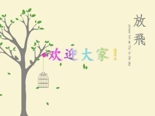 临时心脏起搏器