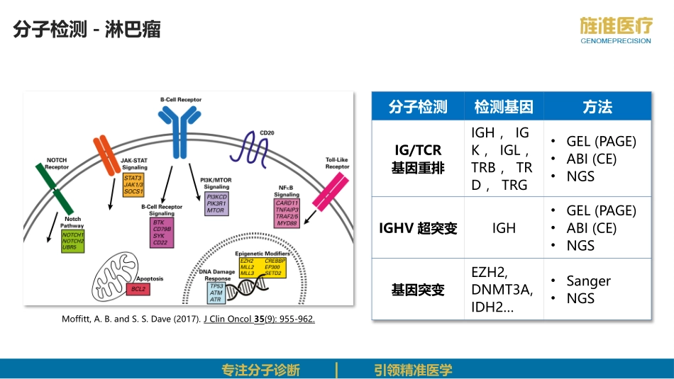 淋巴瘤基因克隆性重排检测_第3页