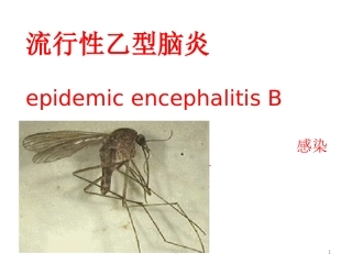流行性乙型脑炎感染性疾病科