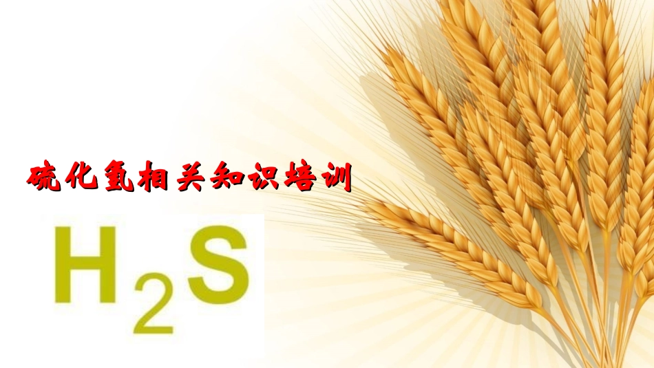 硫化氢培训课件_第1页