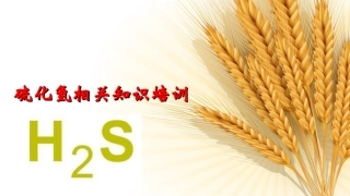 硫化氢培训课件