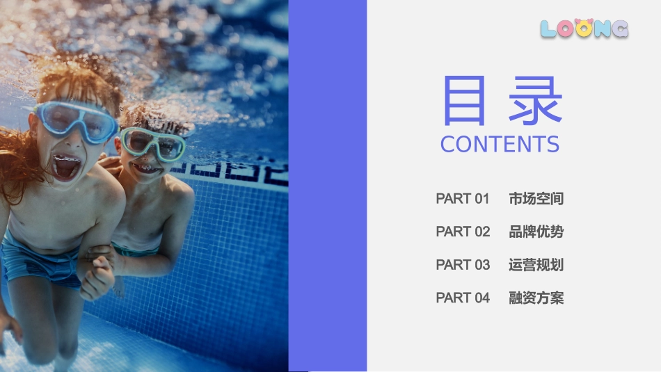 龙格商业计划书_第3页