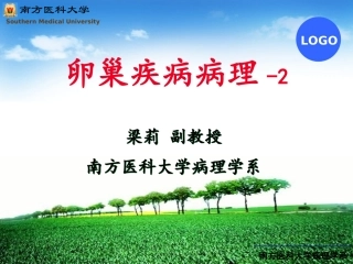 卵巢病理诊疗