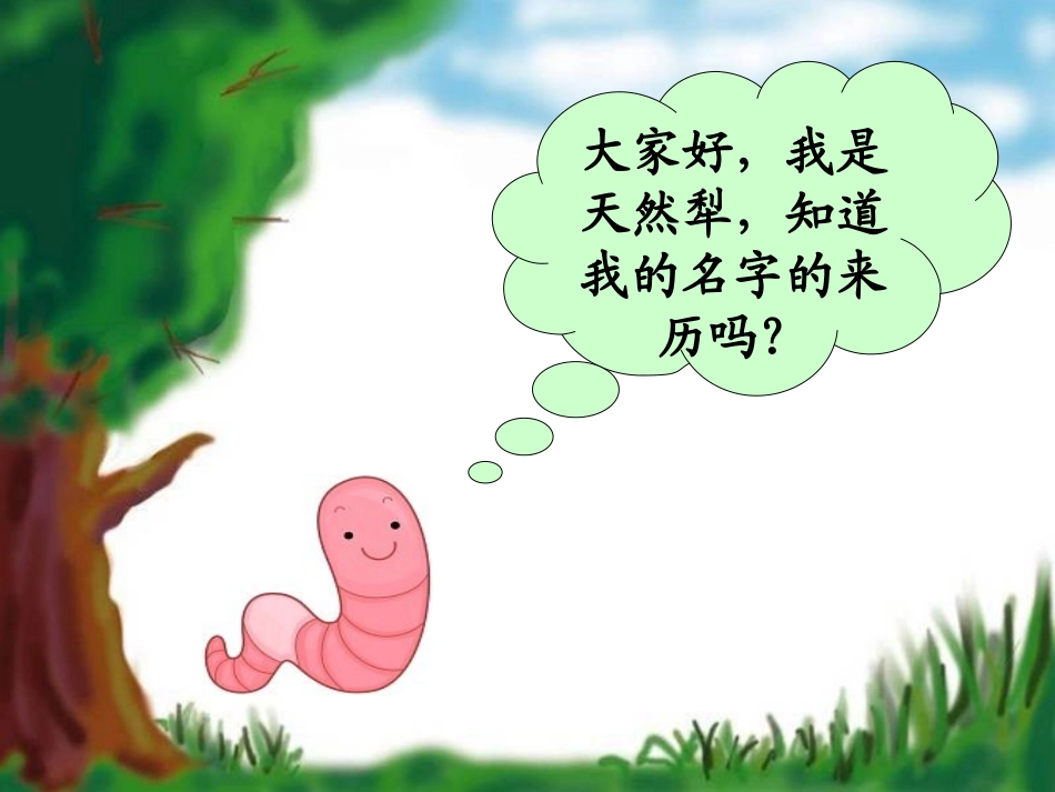 落叶到哪里去了课件_第2页