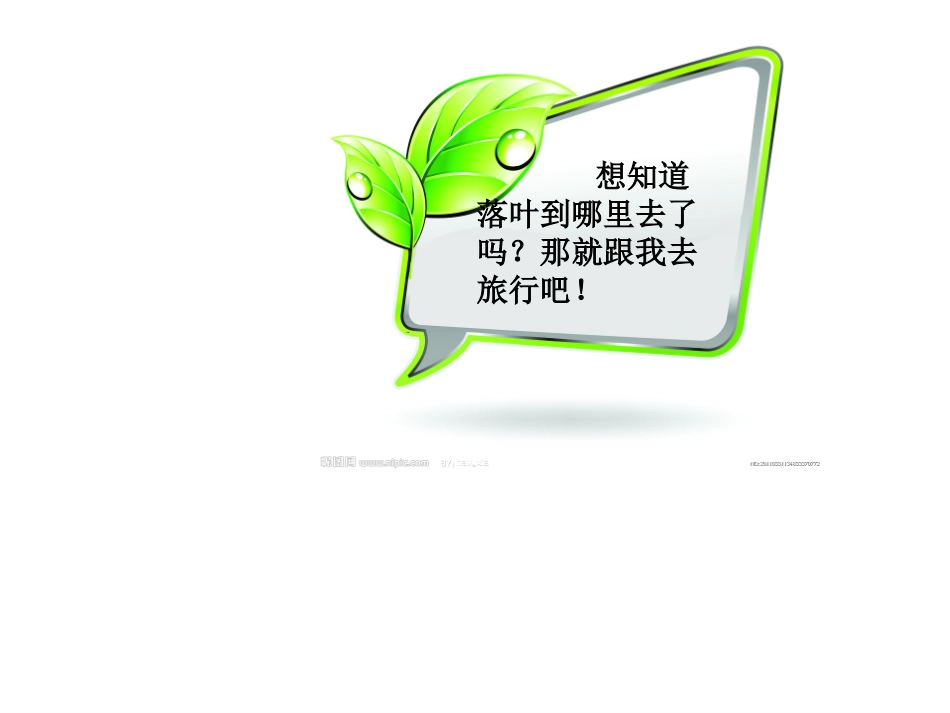 落叶到哪里去了课件_第3页