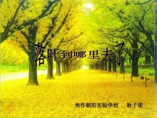 落叶到哪里去了课件