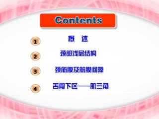 麻醉解剖学局部解剖学必备知识点颈部