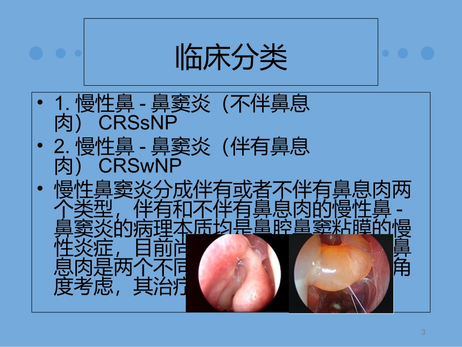慢性鼻窦炎诊治及预后_第3页
