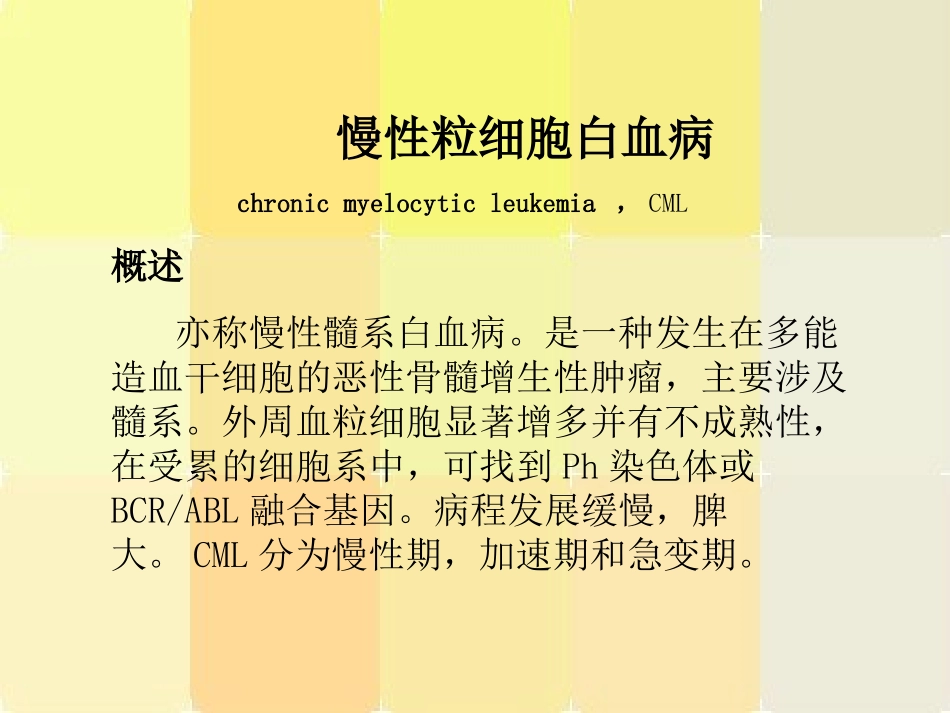 慢性粒细胞白血病优质课件_第2页