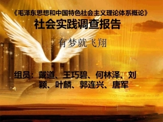 毛概社会实践调查报告