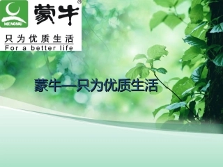 蒙牛财务战略分析