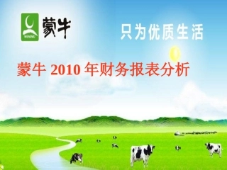 蒙牛公司财务报表分析