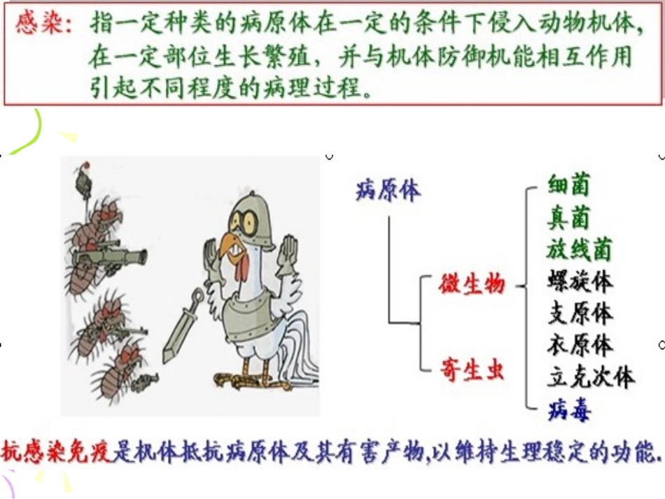 免疫学感染免疫_第3页