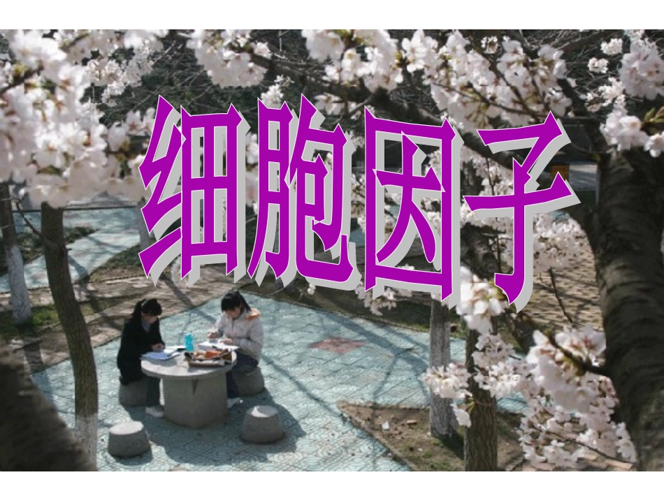 免疫学教学细胞因子_第1页