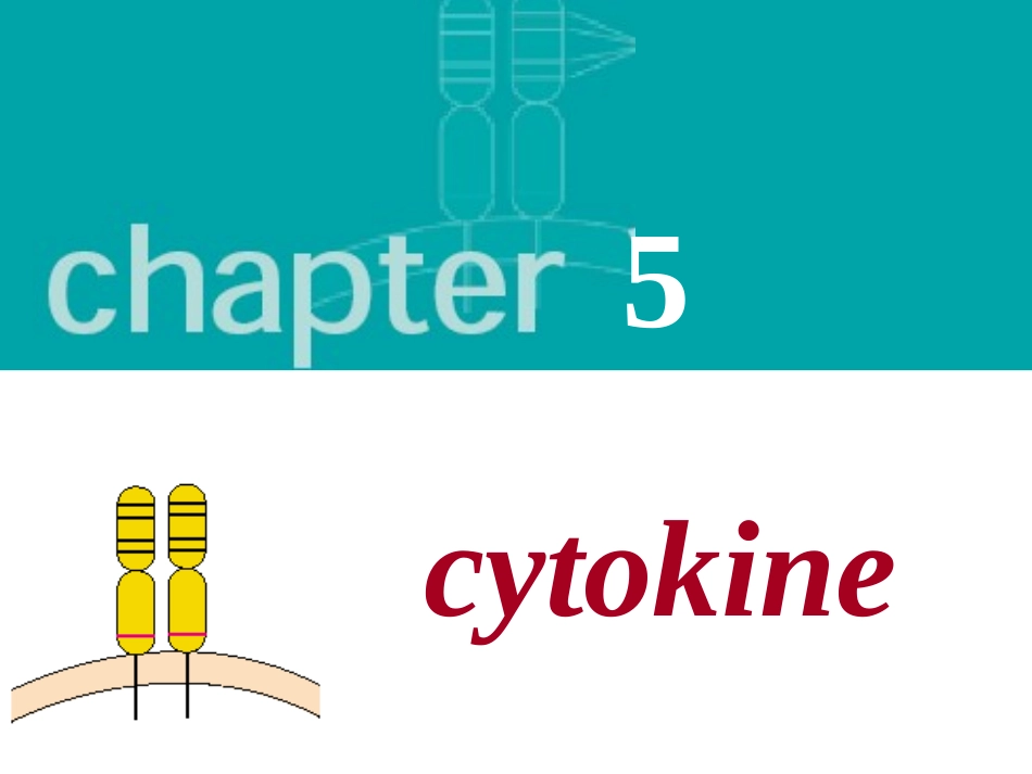 免疫学教学细胞因子_第2页