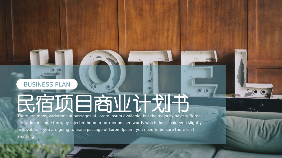 民宿项目商业计划书_第1页