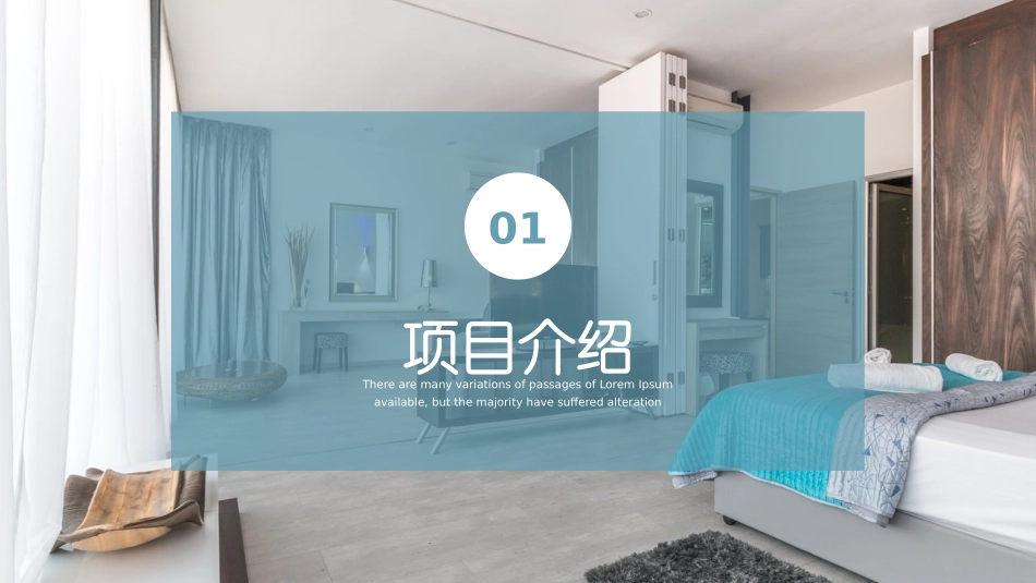 民宿项目商业计划书_第3页