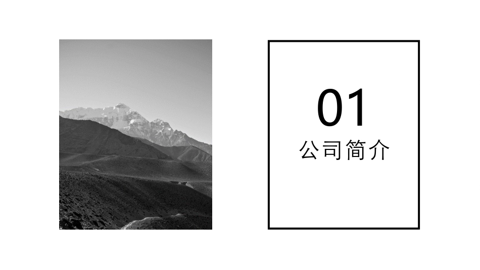 模拟投标展示_第3页