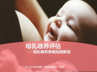 母乳喂养评估母乳喂养促进策略指南解读终版