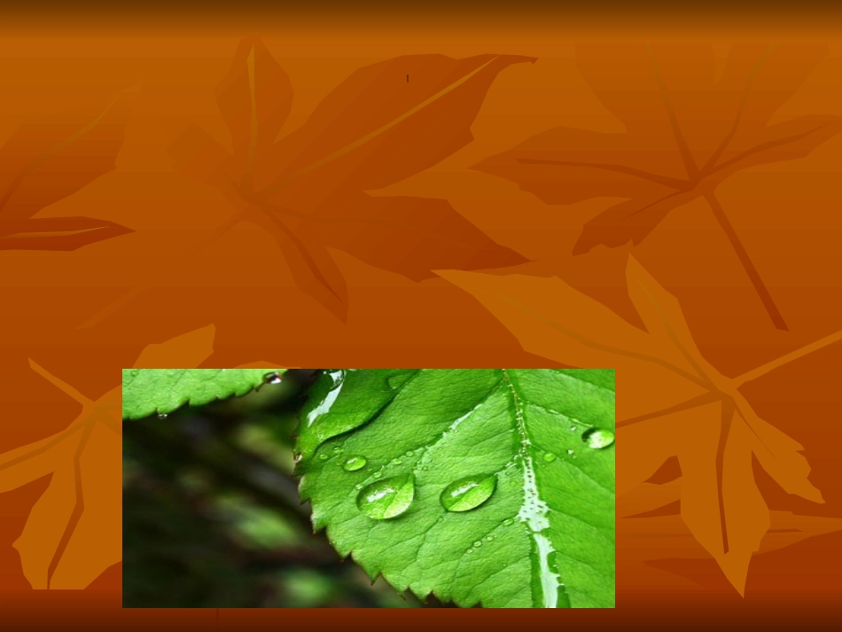 奶茶市场调研报告_第2页