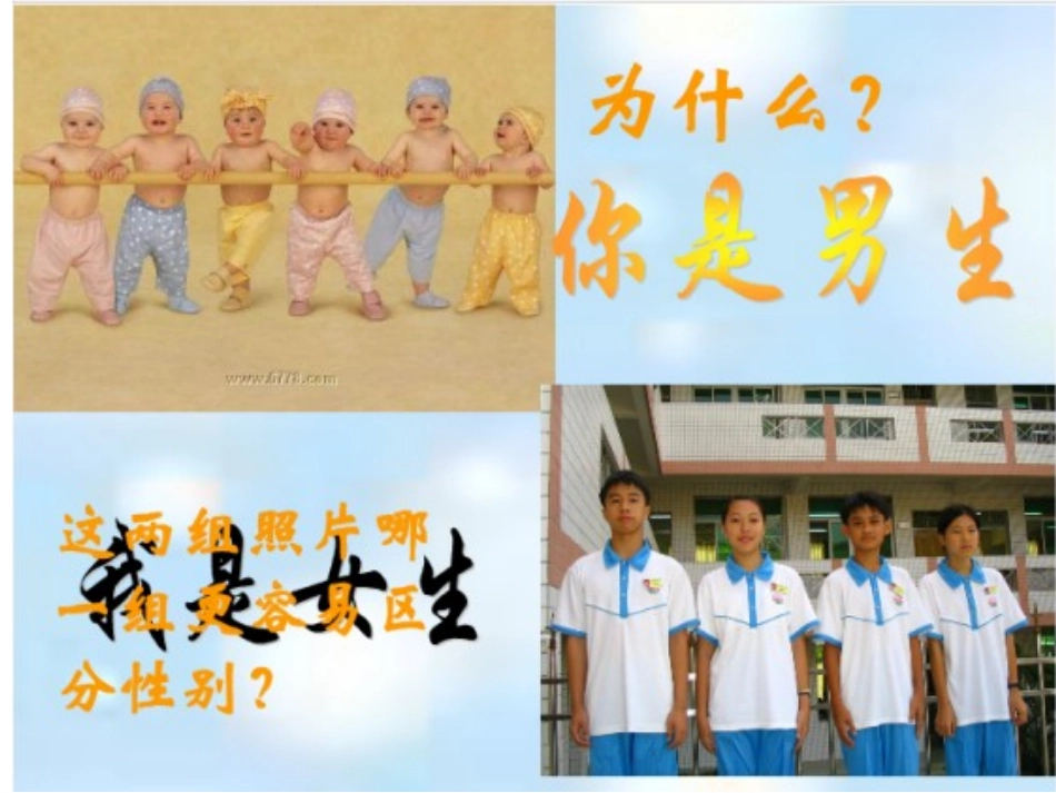 男生女生课件_第2页