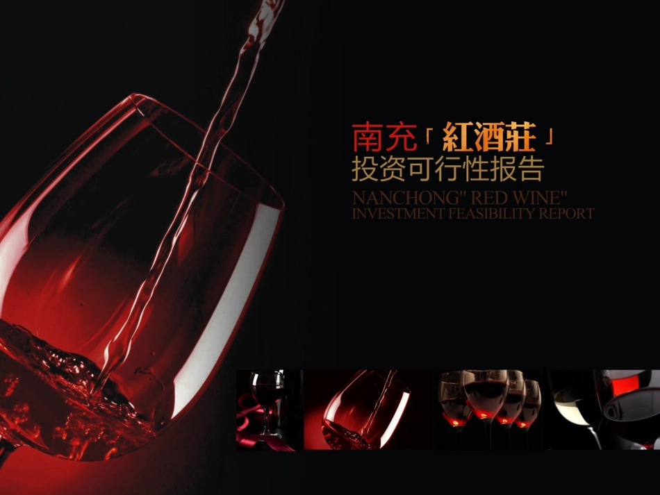 南充红酒庄可行性研究报告_第1页