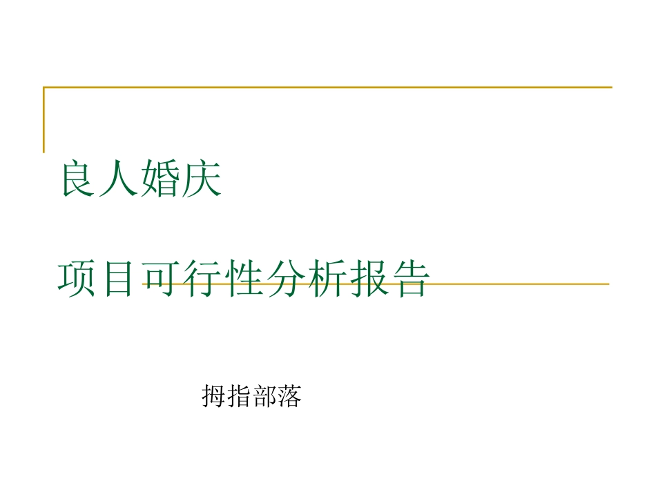 南京婚庆公司项目可行性分析报告_第1页