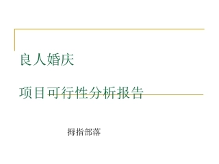 南京婚庆公司项目可行性分析报告