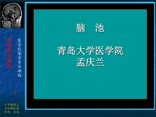 脑池CT影像解剖