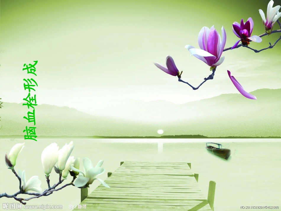 脑血栓形成病人的护理文档_第1页