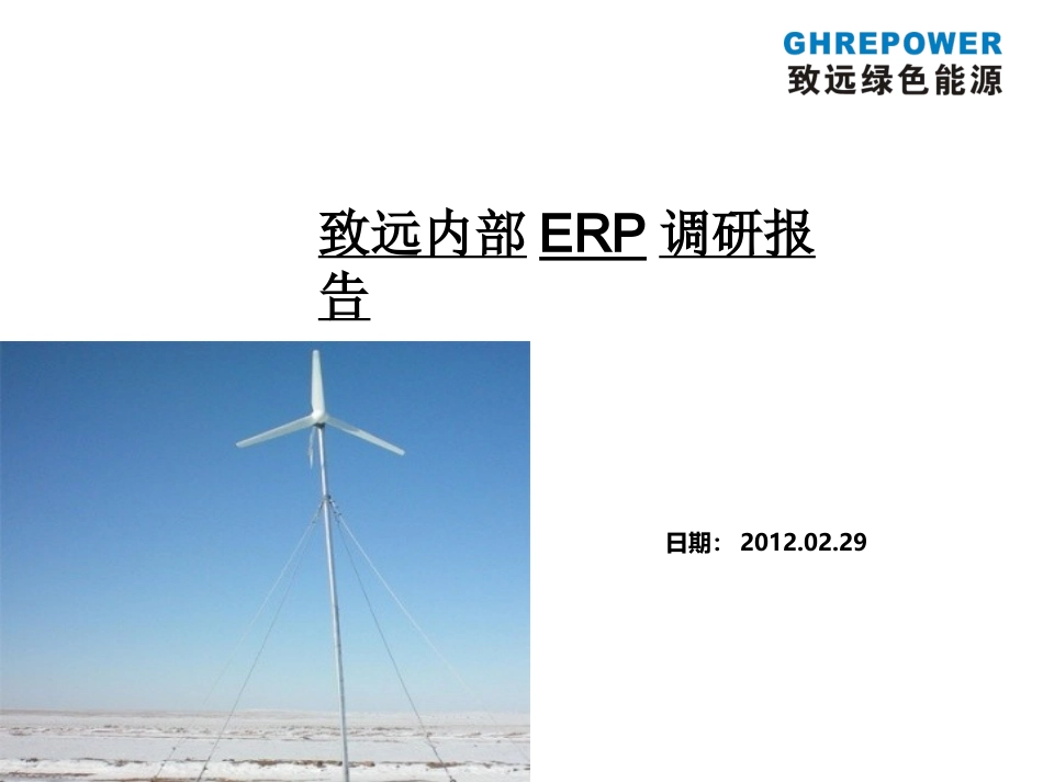 内部ERP调研报告_第1页