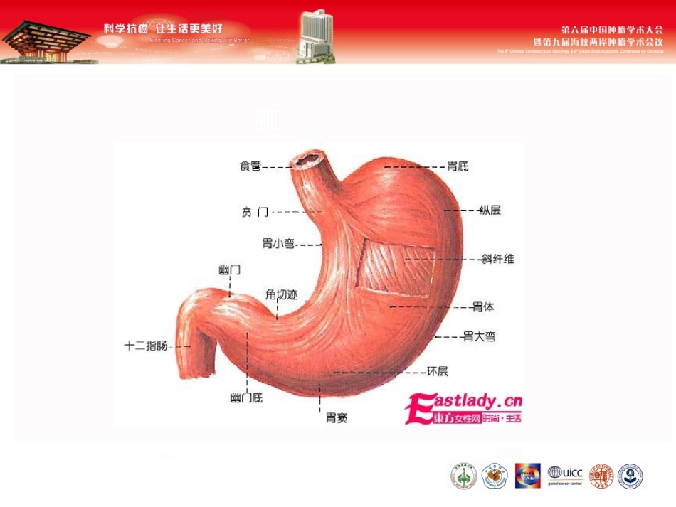 内镜下胃肠息肉切除术的护理讲解_第3页