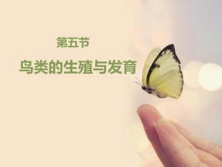 鸟类的生殖与发育