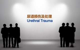尿道损伤教学课件