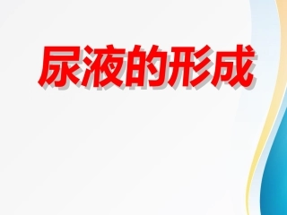 尿液的形成微课