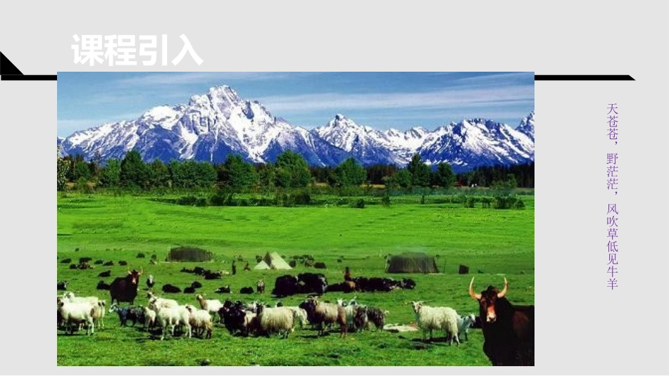 牛吃草问题课件_第3页