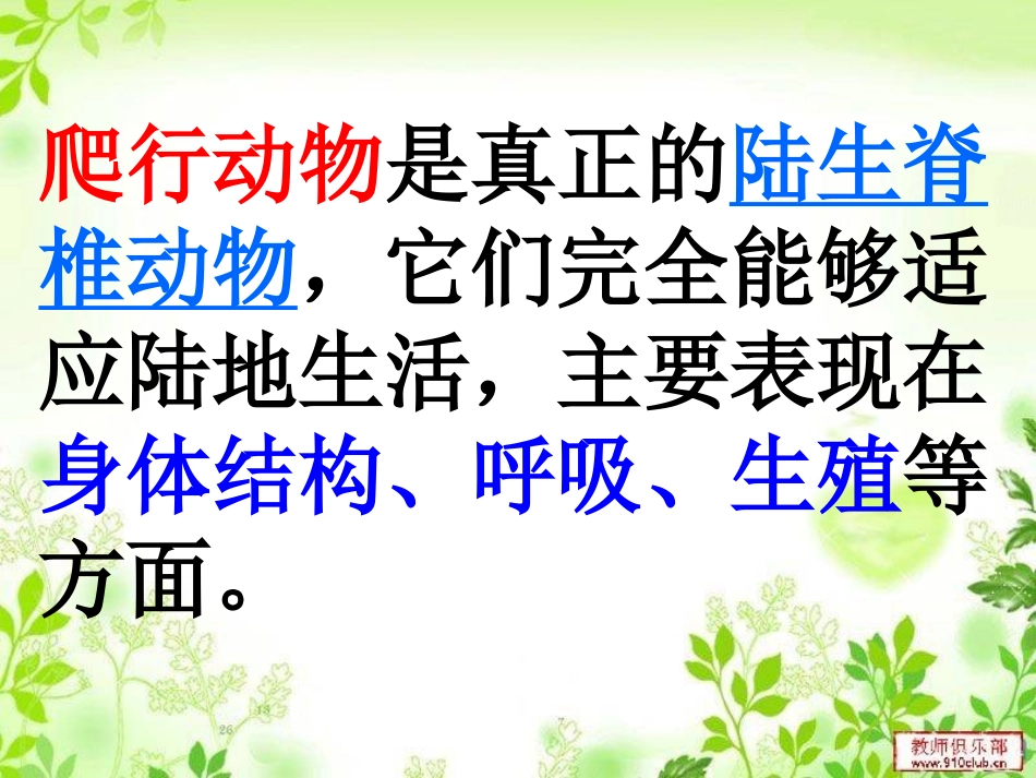 爬行动物课件_第2页