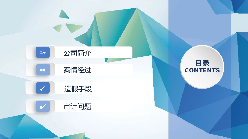 帕玛拉特财务舞弊审计失败案例分析_第2页