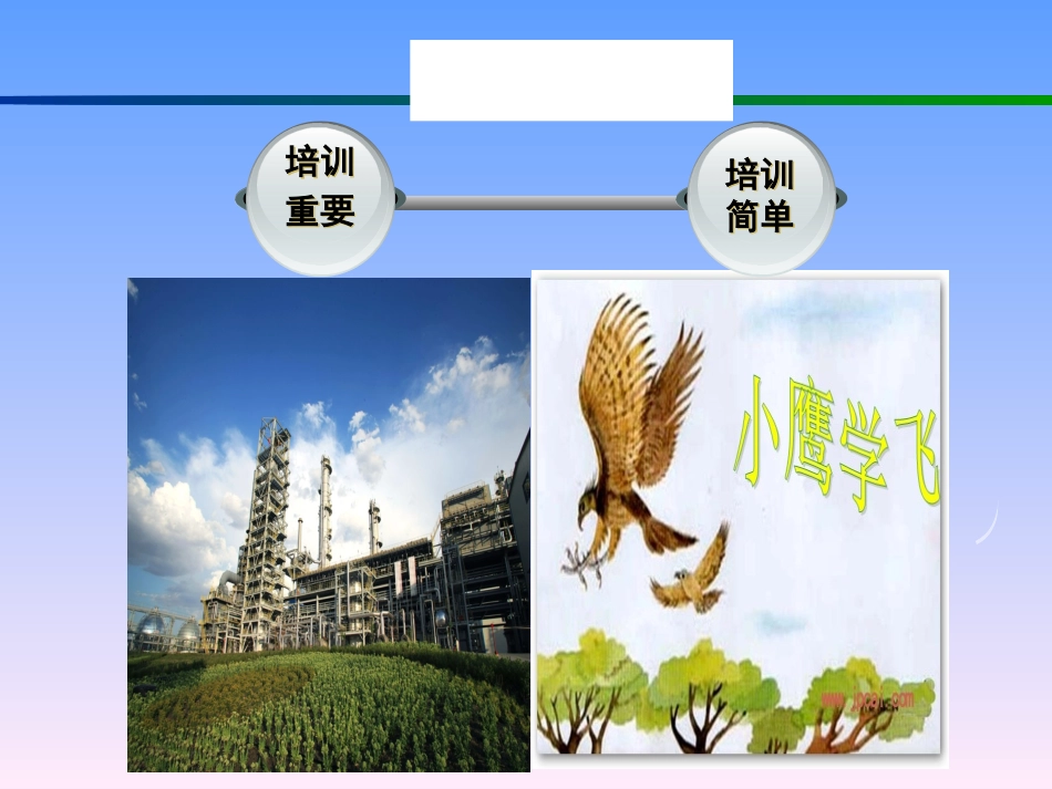 培训矩阵课件_第2页