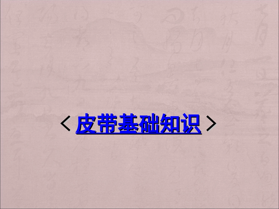 皮带基础知识_第1页