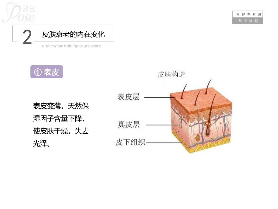 皮肤管理培训资料_第3页