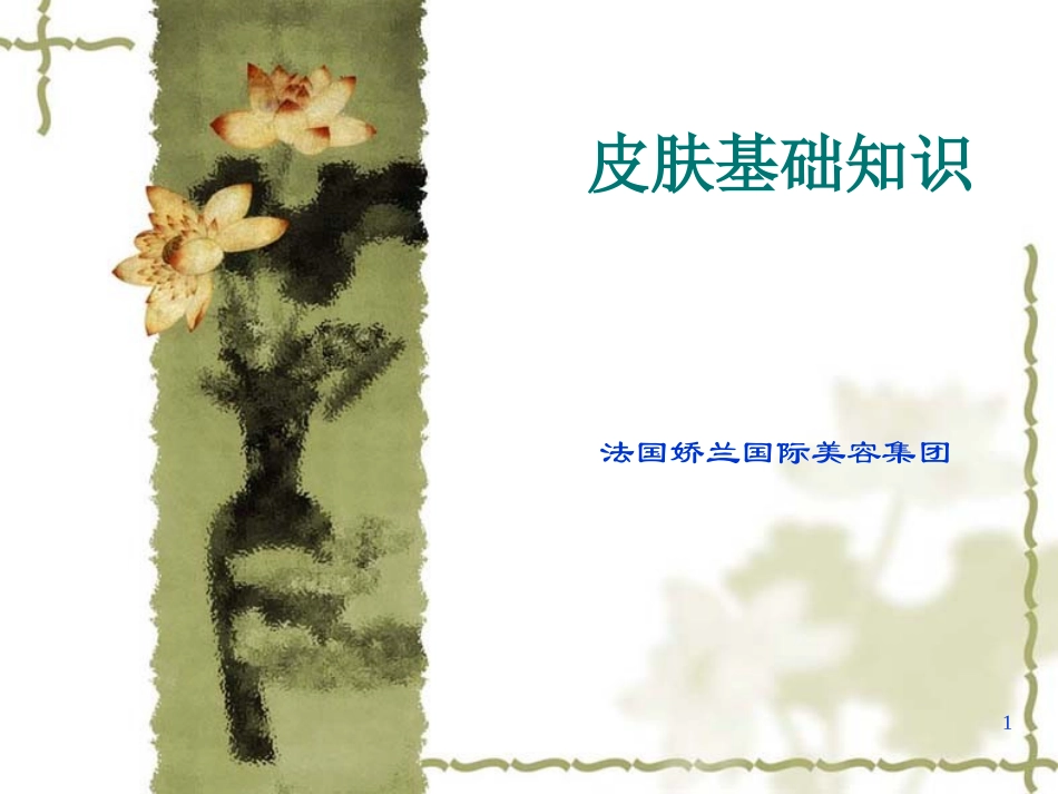 皮肤基础知识_第1页