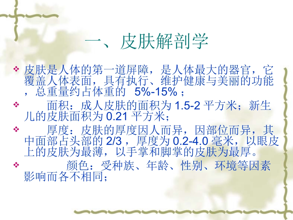 皮肤基础知识_第3页