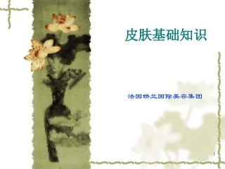 皮肤基础知识